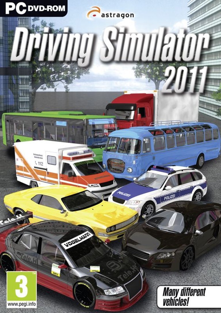 Driving Simulator 2011 Logo