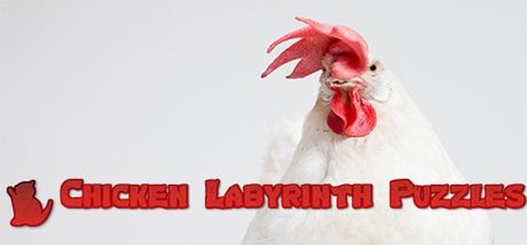 Chicken Labyrinth Puzzles Logo