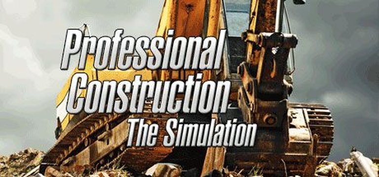 Professional Construction: The Simulation Logo