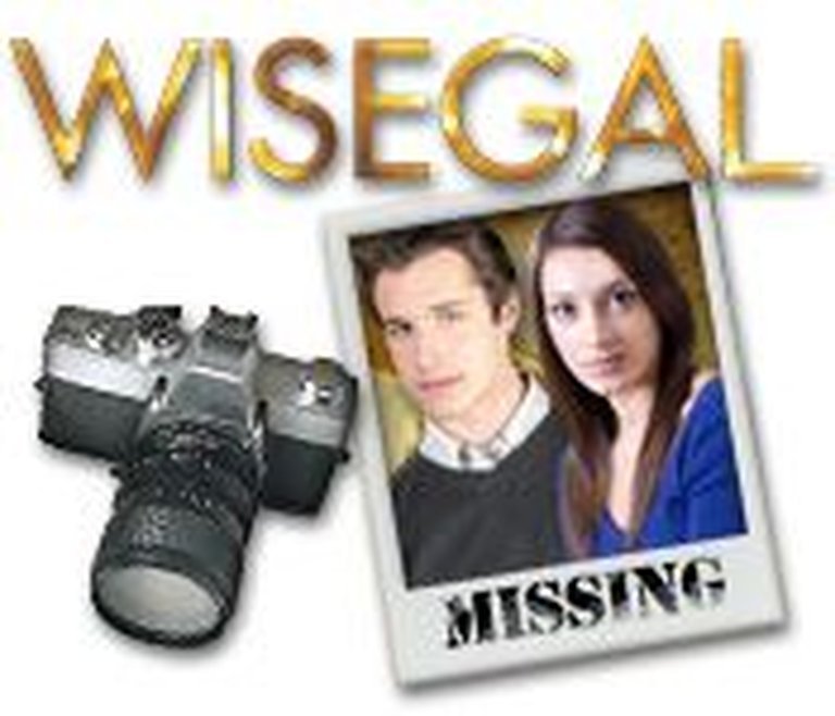 Wisegal Logo