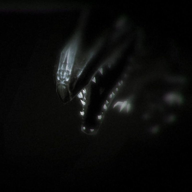 1916: Der unbekannte Krieg Logo